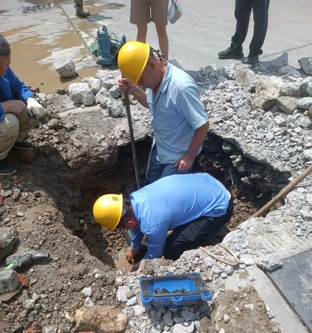 1693205491779745.jpg 1693205491779745.jpg